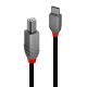 LINDY LNY-36942 :: 2m USB 2.0 Type C to B Cable, Anthra Line