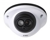 CIGE DIS-619EL :: Куполна охранителна камера, 1/3" Sony CCD, 600 TVL,  IR 30м, 3.6 мм обектив
